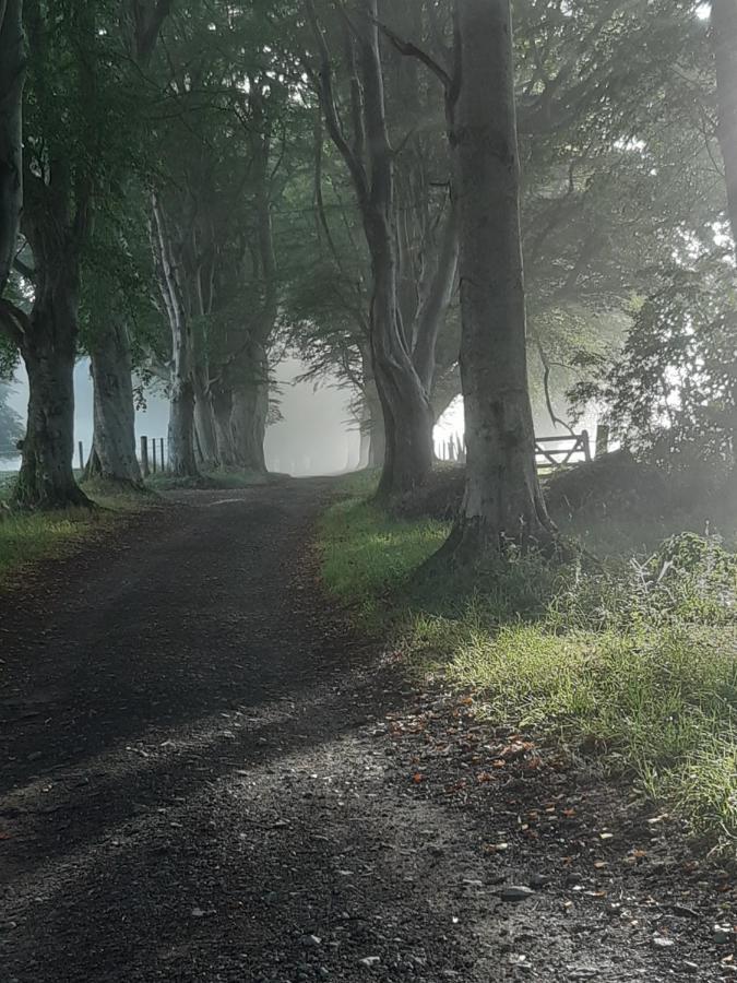 Springbank Cabin Insch エクステリア 写真