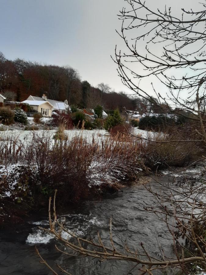 Springbank Cabin Insch エクステリア 写真